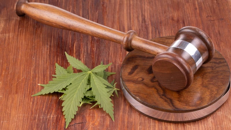 Gavel with Hemp Leaves on the Wooden Surface