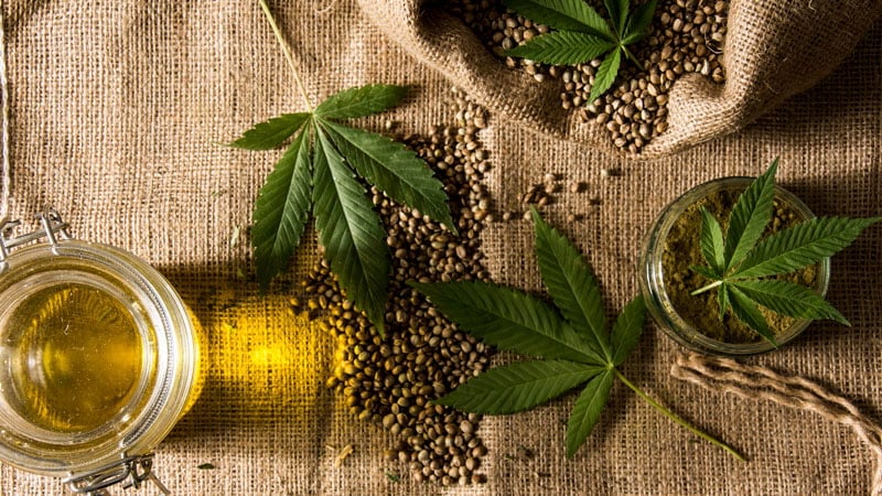 Hemp Leaves with Hemp Seeds and Oil in a Knit Clothes