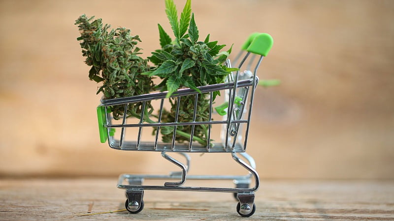 Cannabis leaves on trolley