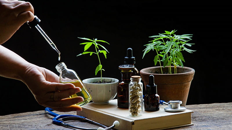 doctor using delta 8 THC oil with cannabis plant and stetoscope at the table