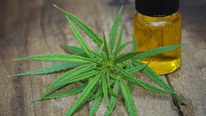 cannabis leaves and oil extract in a bottle