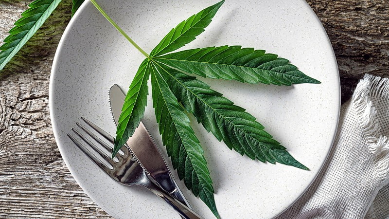 a plain white plate with a hemp leaf, a fork and a knife