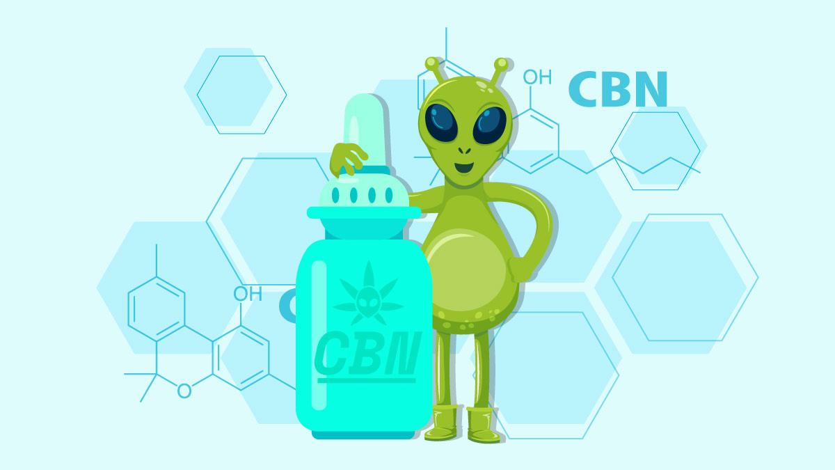 What is CBN and What Are the Effects of This Cannabinoid? - Area 52