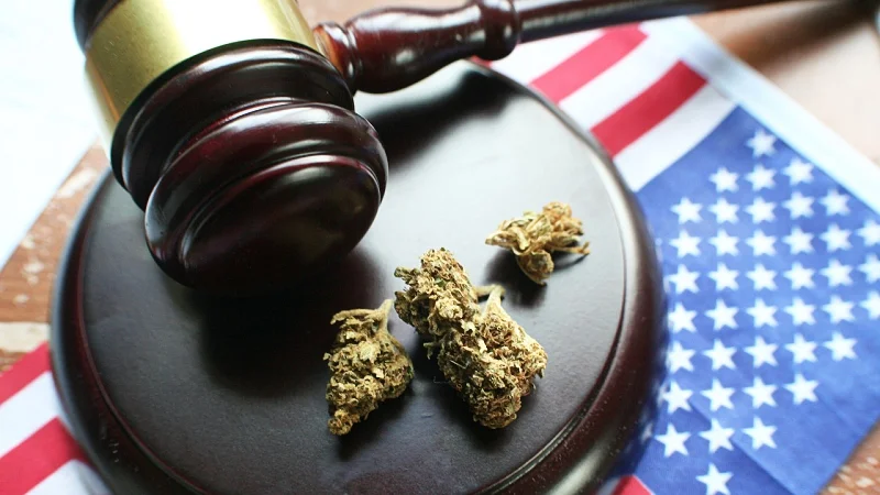 hemp buds on a gavel placed with United States flag under