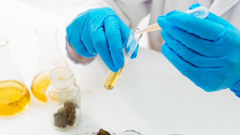 scientist's hands with rubber gloves taking Delta 8 oil extract on a test tube using a dropper with hemp buds and extracts in bottles on the table