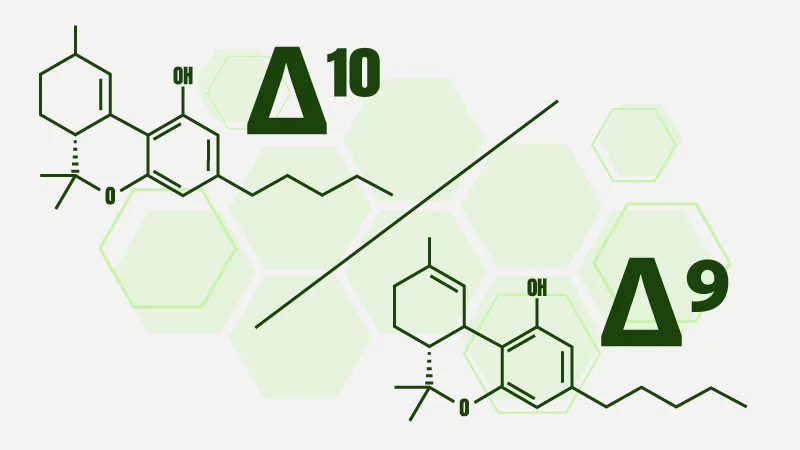 Illustration of Delta 10 vs Delta 9 chemical structures