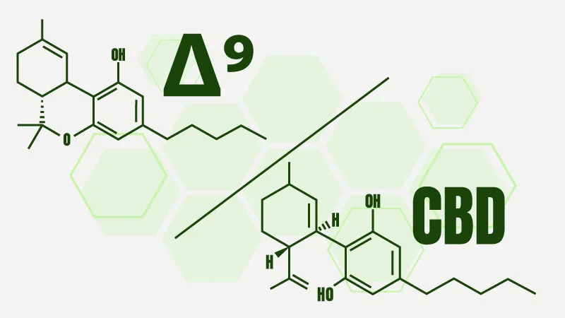 Illustration of Delta 9 vs CBD chemical structures