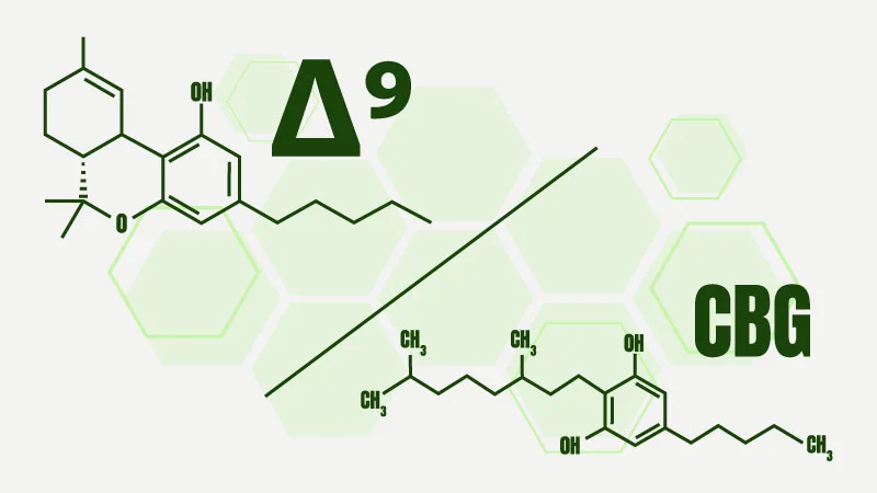 Illustration of Delta 9 vs CBG chemical structures
