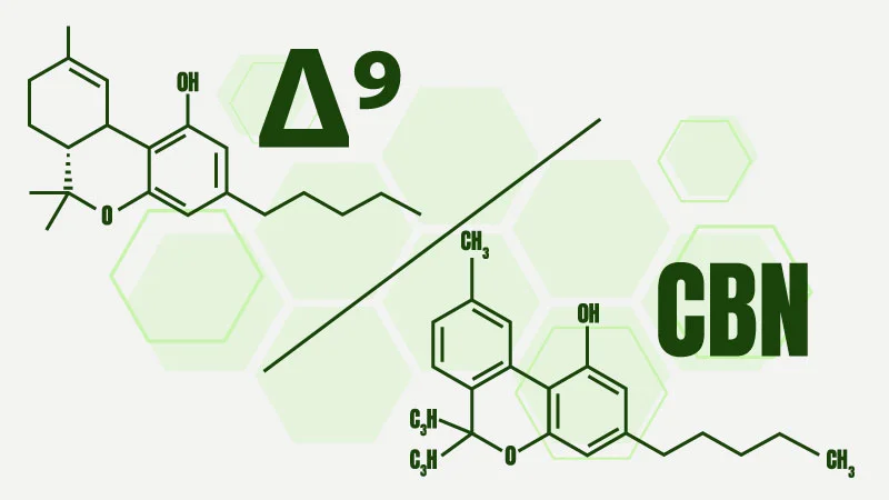 Illustration of Delta 9 vs CBN chemical structures