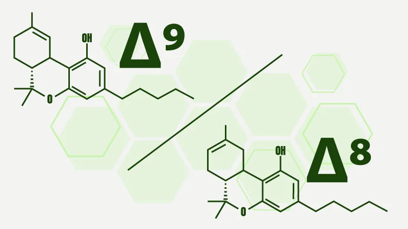 Illustration of Delta 9 vs Delta 8 chemical structures