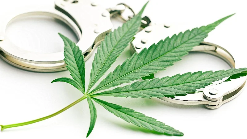 hemp leaf and handcuffs with white background