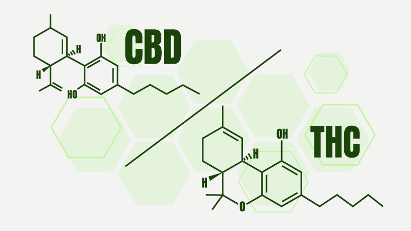 CBD vs THC chemical structure