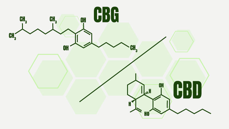 CBG vs CBG chemical structure