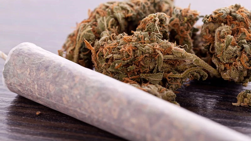 Close up image of dried hemp flower and tied end of marijuana joint with translucent rolling paper