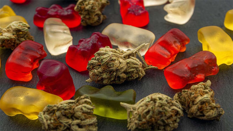 Weed buds and gummies