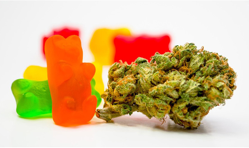 Edible Gummies next to a cannabis bud