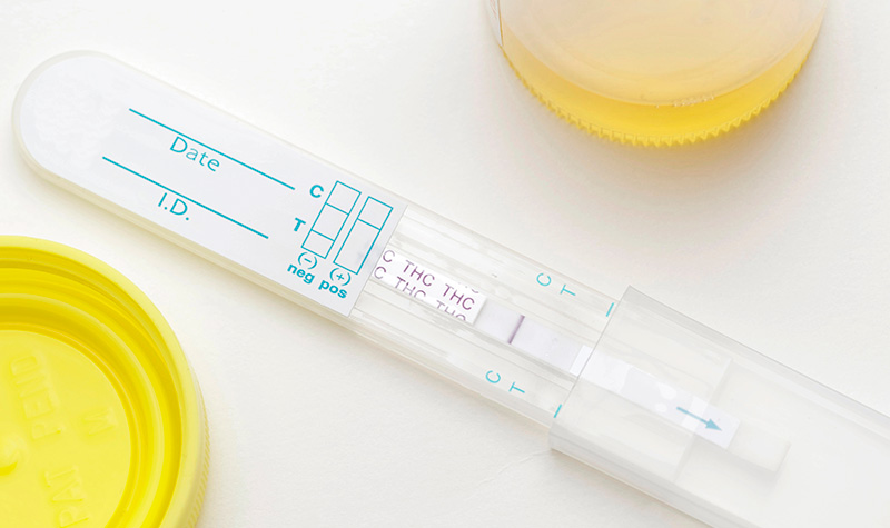 Checking for THC in a drug test