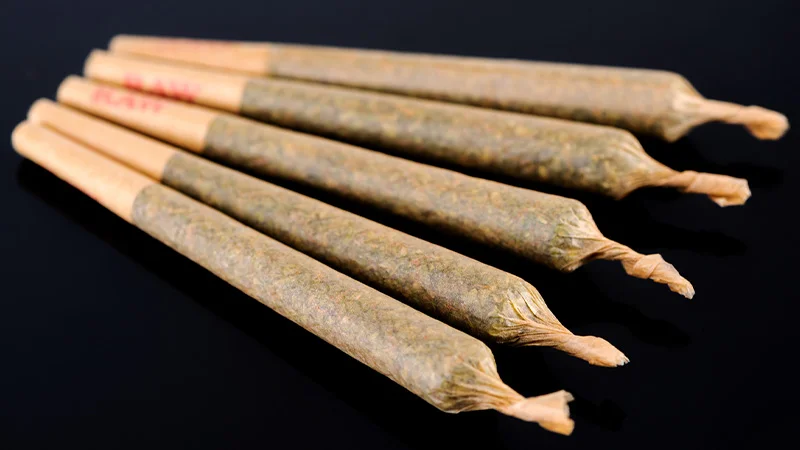 Five cone marijuana joints in black background