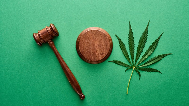 Gavel and marijuana leaf showing legality of HHC