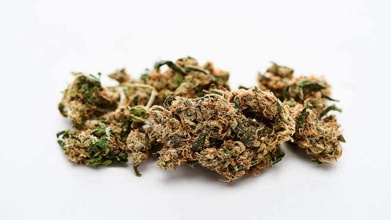 Hexahydrogenated or HHC cannabis buds in white background