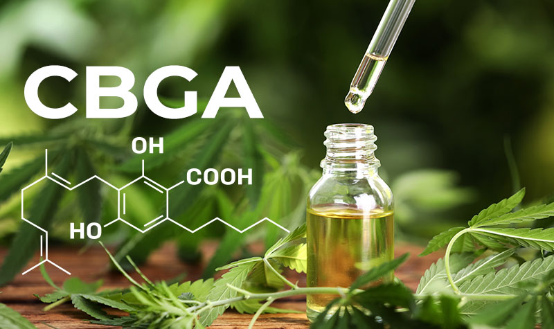 Cannabinoid oil with CBGA chemical structure