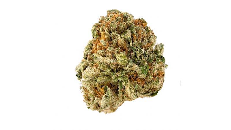 An image of pinkman goo strain on the white background