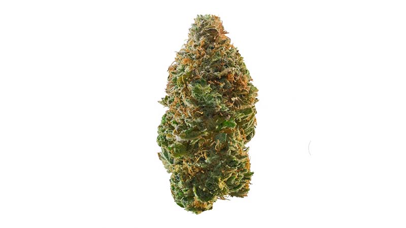An image of weed strain on the white background