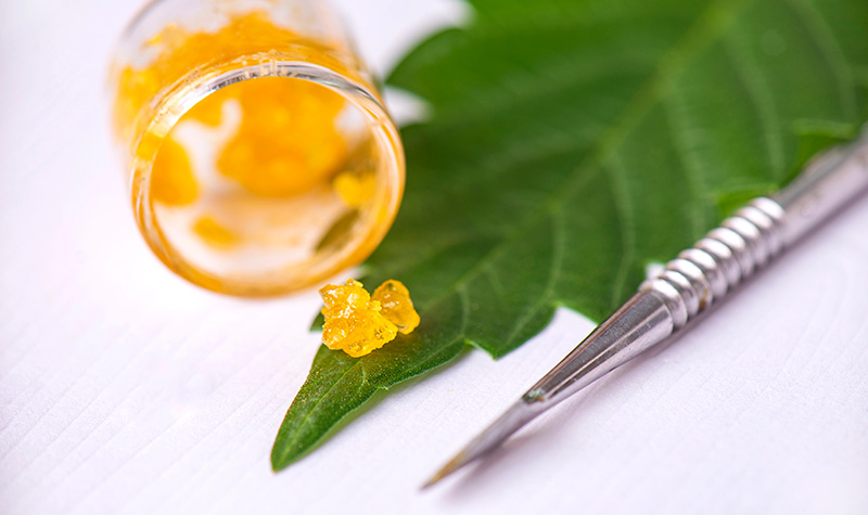 A small amount of resin on a cannabis leaf