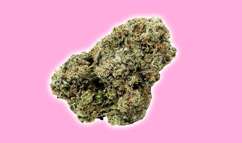 An image of pinkman weed strain in the pink background