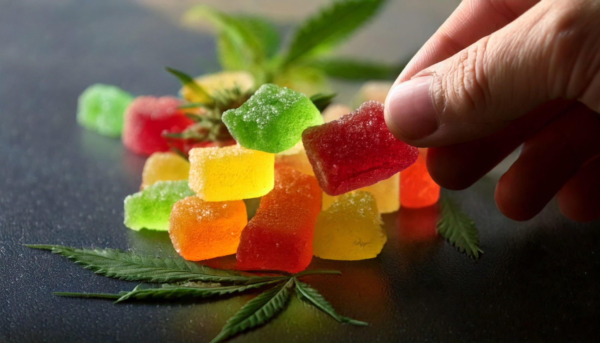 A guy taking a small amount of THC gummy as part of his microdosing set up